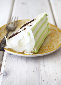 Coconut Lime Cake with Chocolate Ganache Frosting